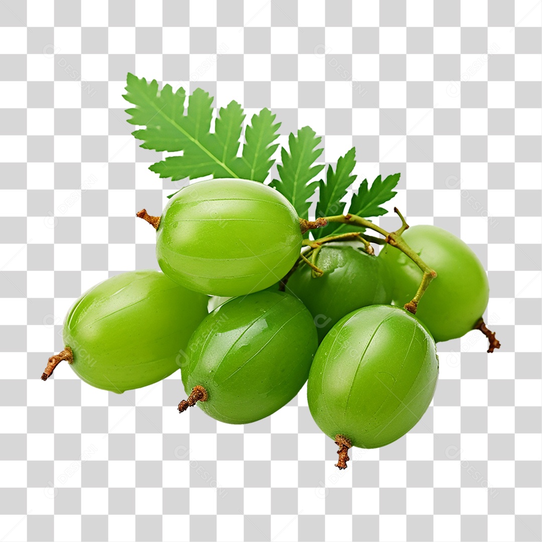 Frutos de Neem PNG Transparente