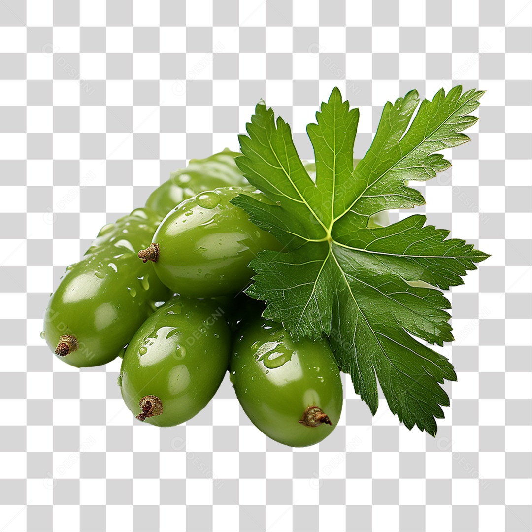 Frutos de Neem PNG Transparente