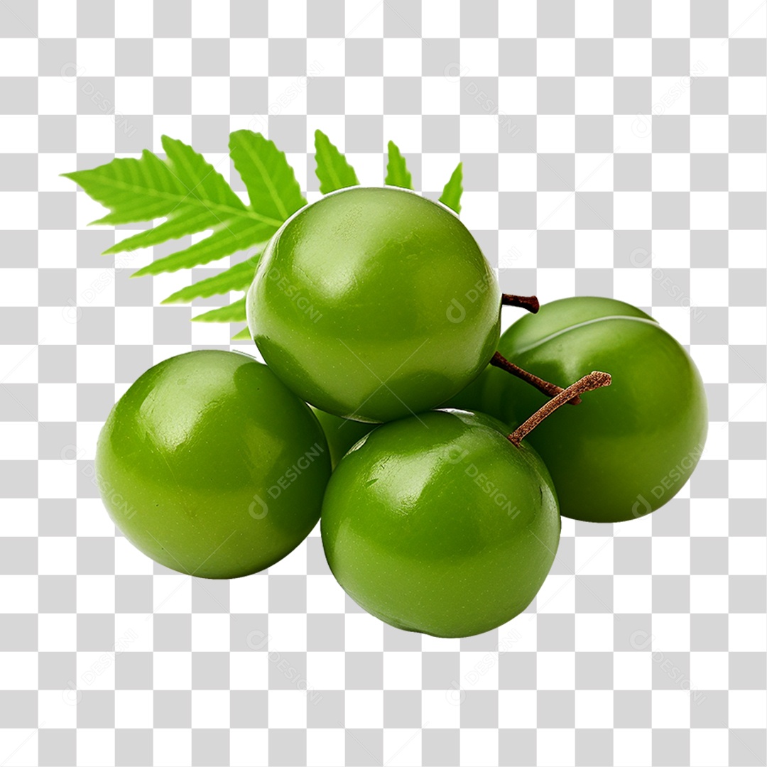 Frutos de Neem PNG Transparente