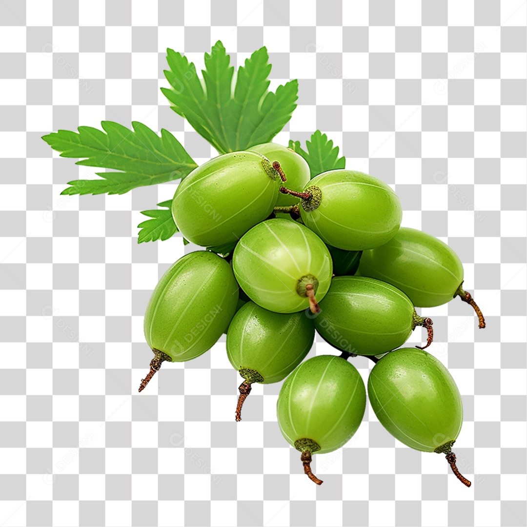 Frutos de Neem PNG Transparente