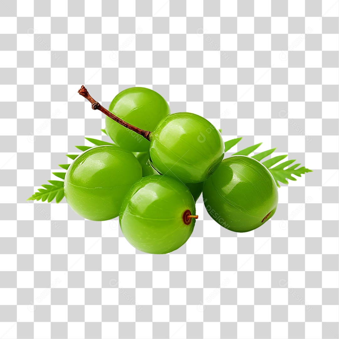 Frutos de Neem PNG Transparente