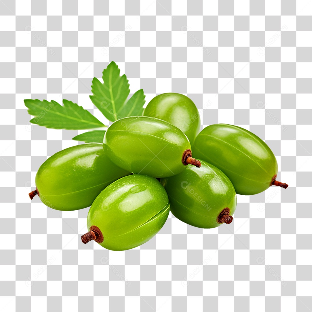 Frutos de Neem PNG Transparente
