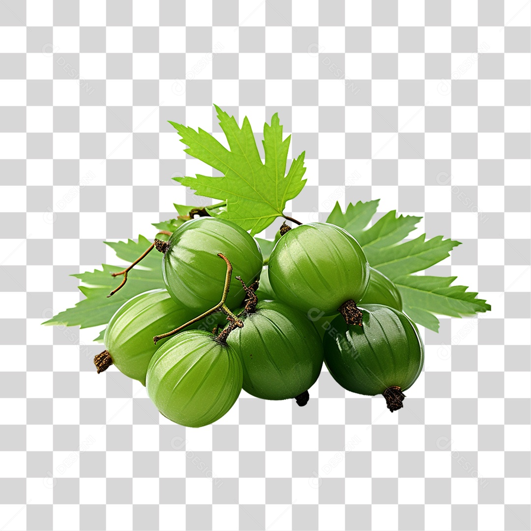 Frutos de Neem PNG Transparente