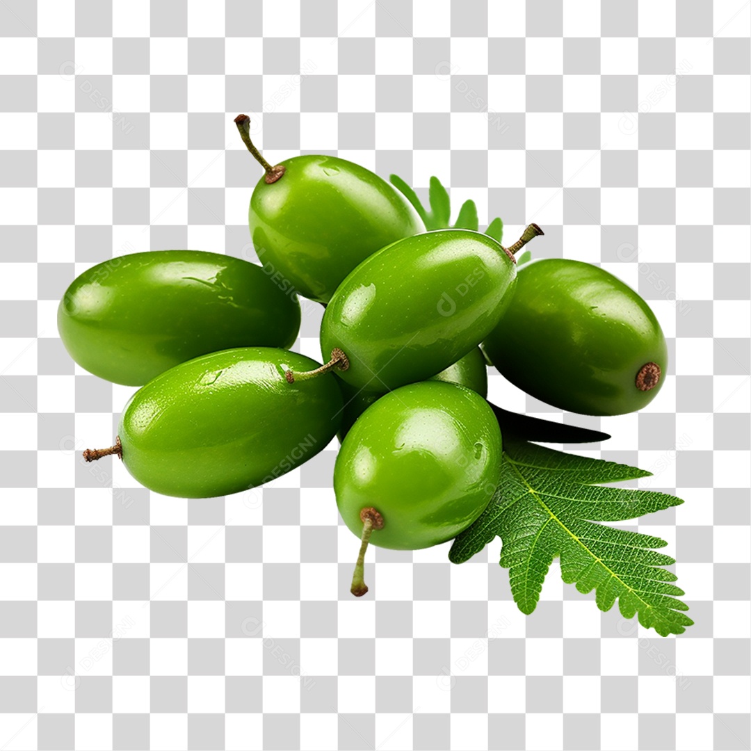 Frutos de Neem PNG Transparente