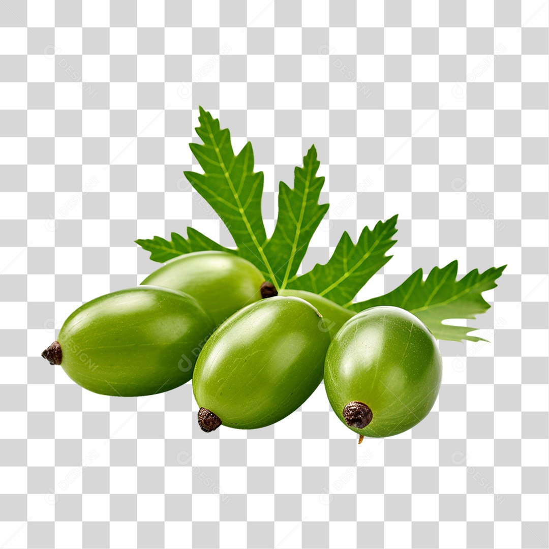 Frutos de Neem PNG Transparente