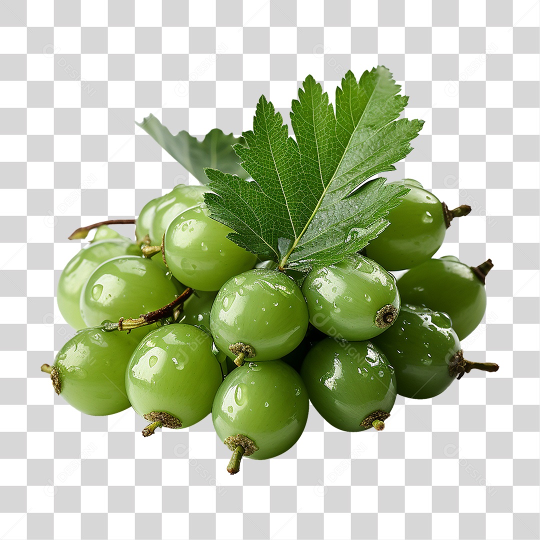 Frutos de Neem PNG Transparente