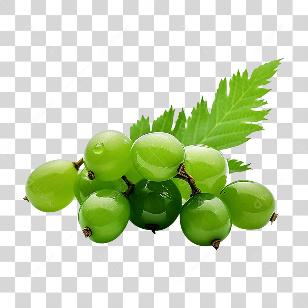Frutos de Neem PNG Transparente