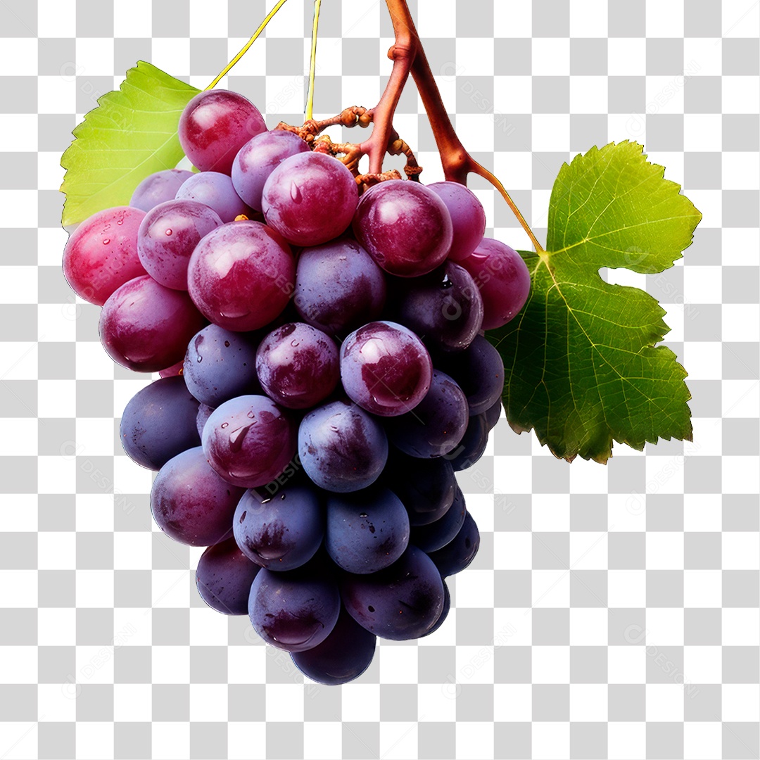 Cacho de Uva PNG Transparente