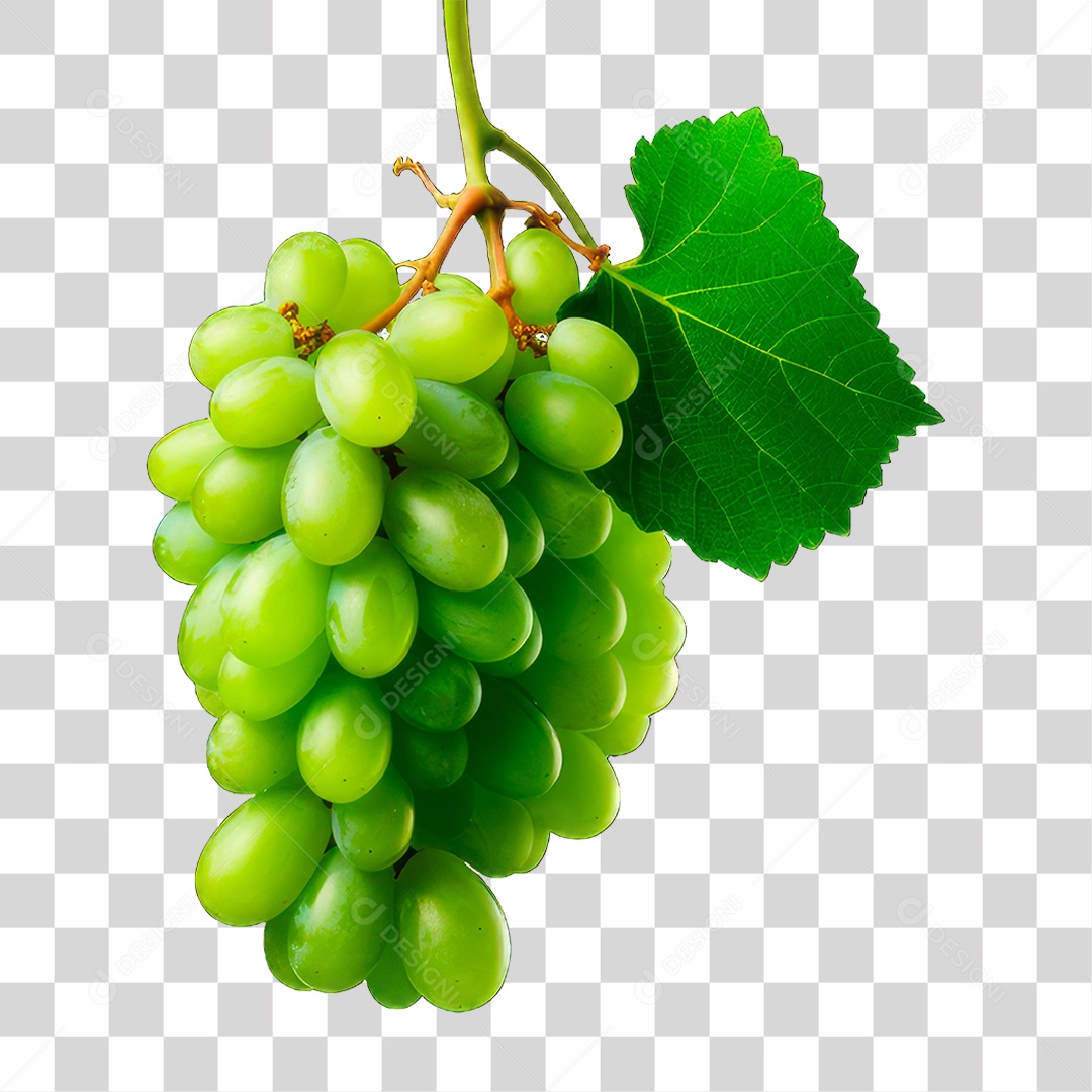 Cacho de Uva Verde PNG Transparente