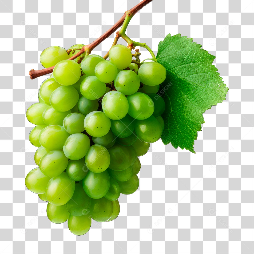 Cacho de Uva Verde PNG Transparente