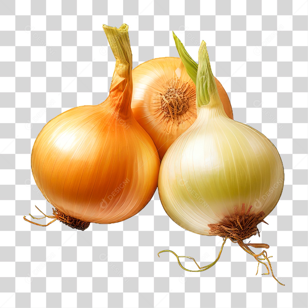 Cebolas PNG Transparente