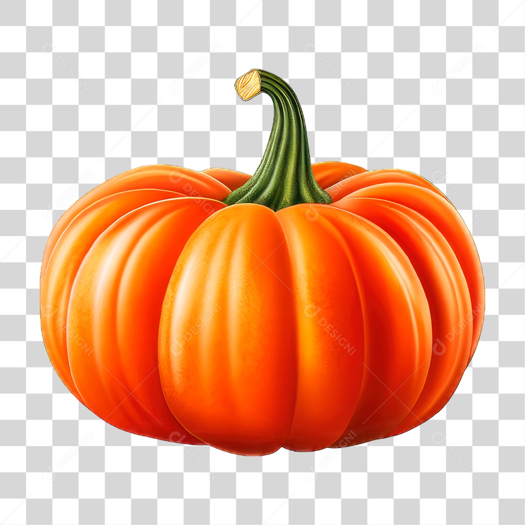 Abóbora Madura PNG Transparente