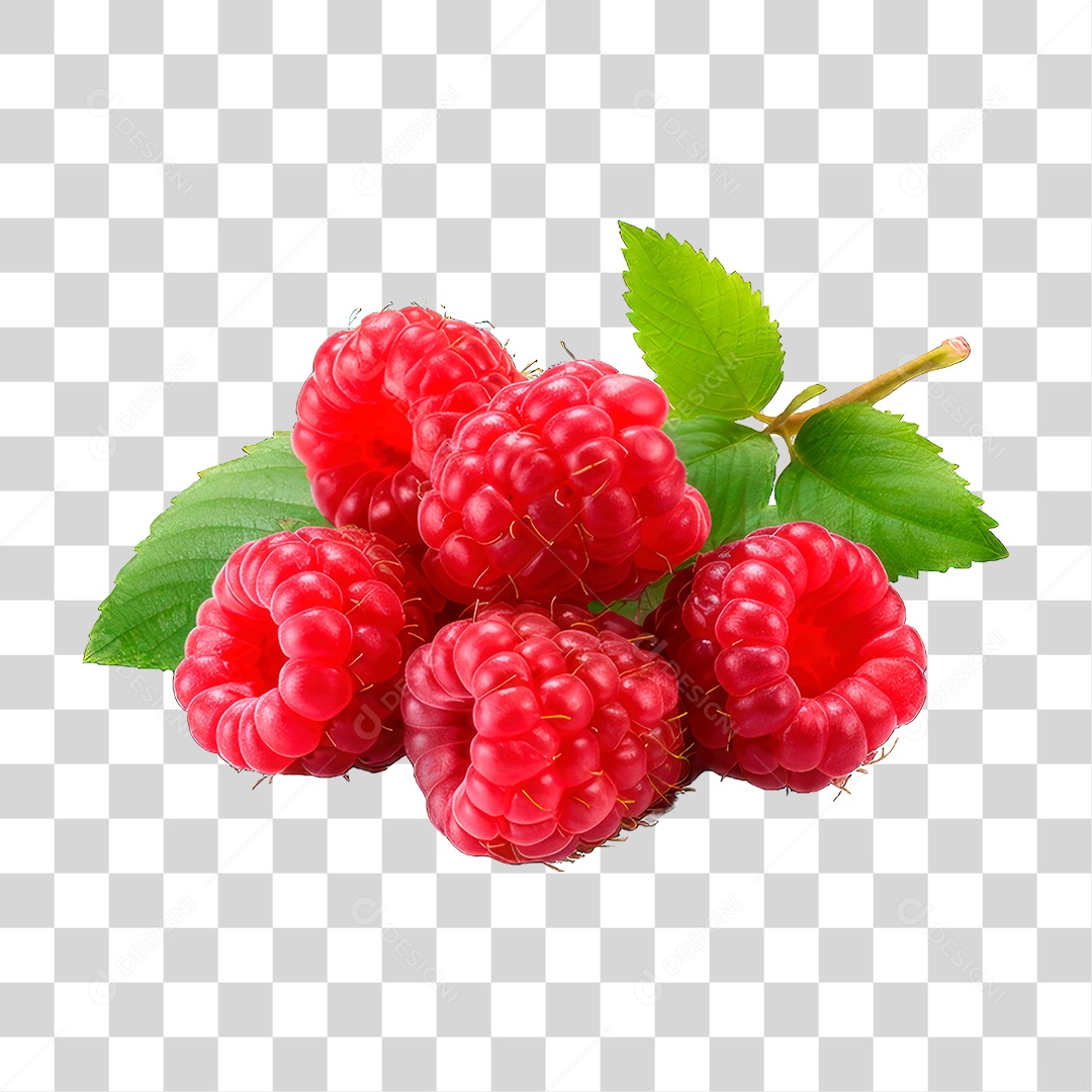 Fruta Framboesas PNG Transparente