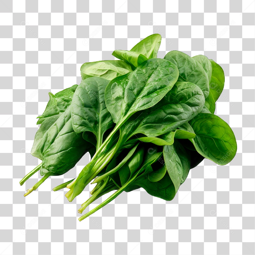 Maço de Espinafre PNG Transparente