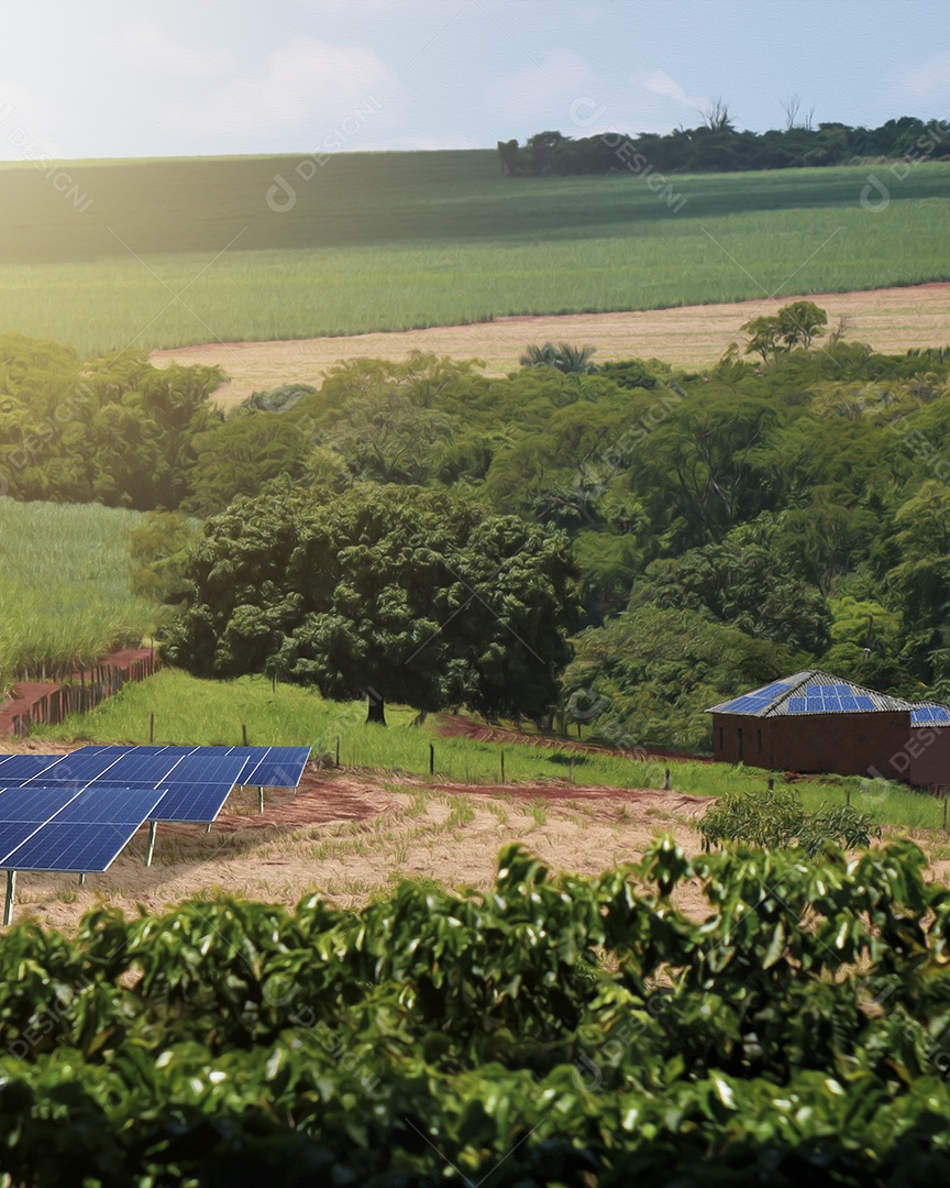 Pôr do sol sobre a usina de energia solar