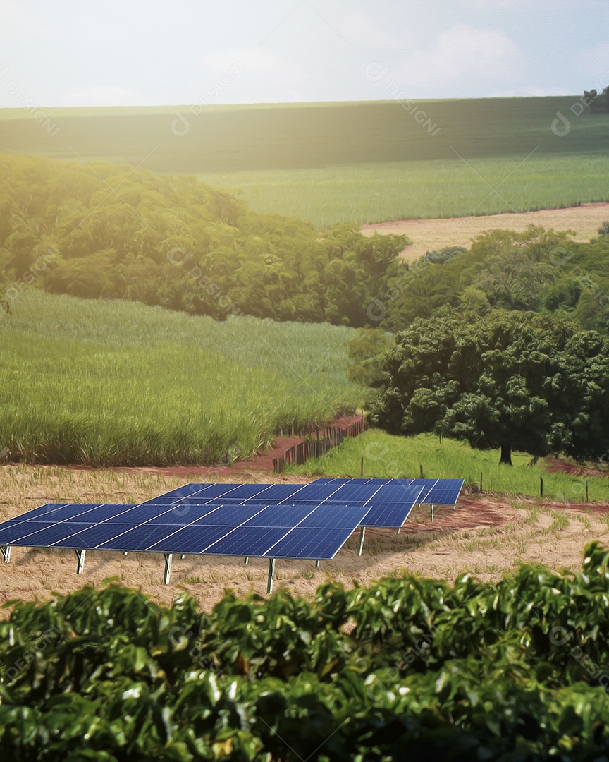 Pôr do sol sobre a usina de energia solar