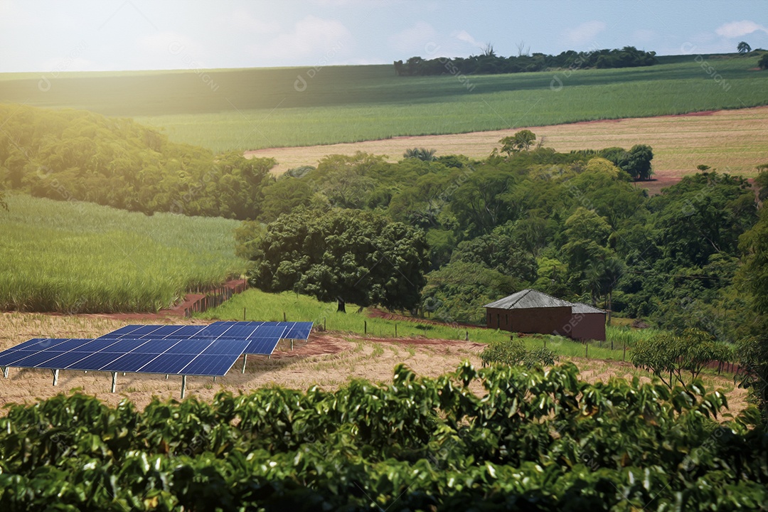 Pôr do sol sobre a usina de energia solar