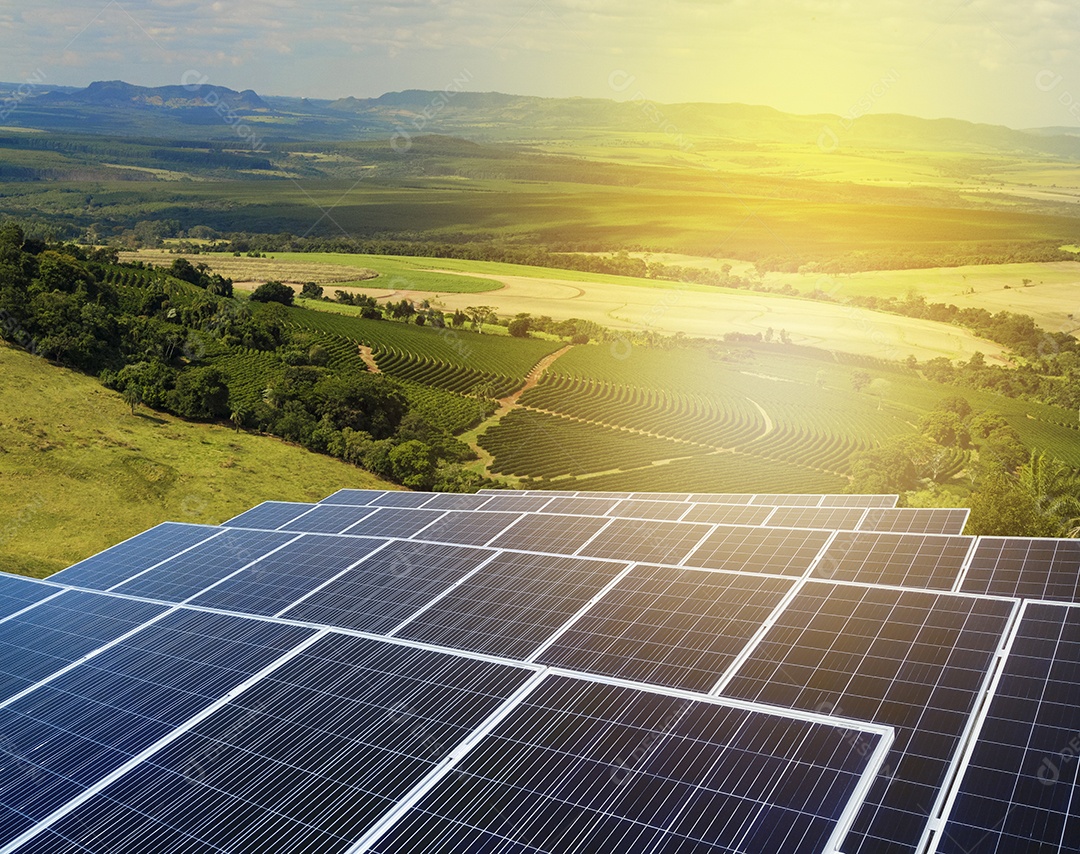 Placas solares pilhadas