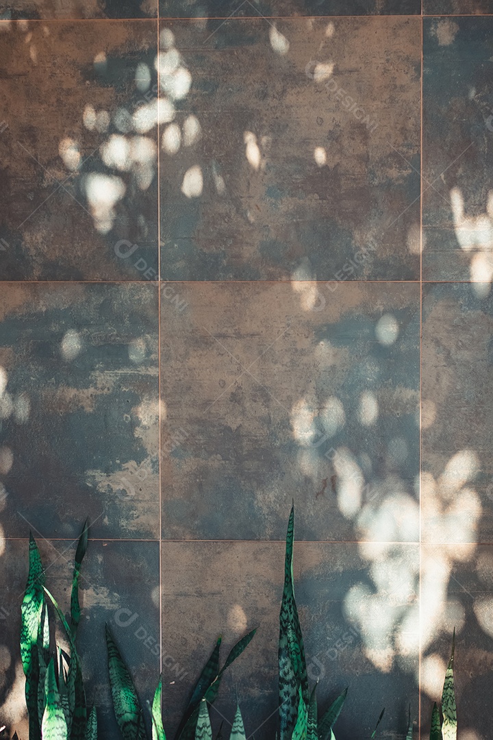 Fundo de textura moderna cinza de parede de pedra com jardim de plantas