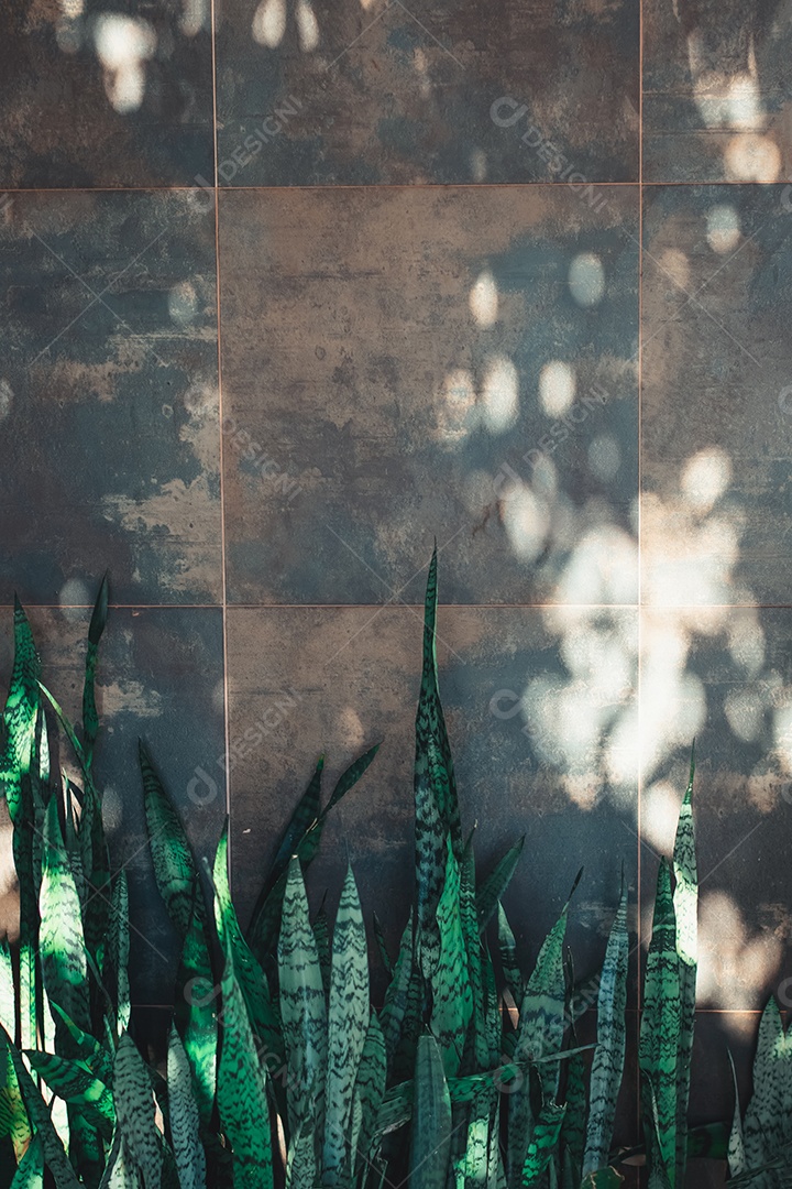 Fundo de textura moderna cinza de parede de pedra