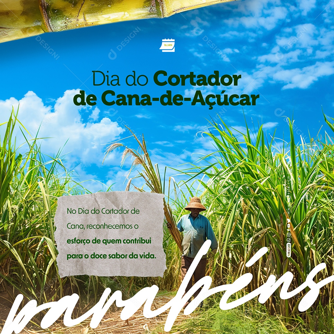 Sugarcane Cutter Day, January 16, we recognize the Social Media PSD Editable effort
