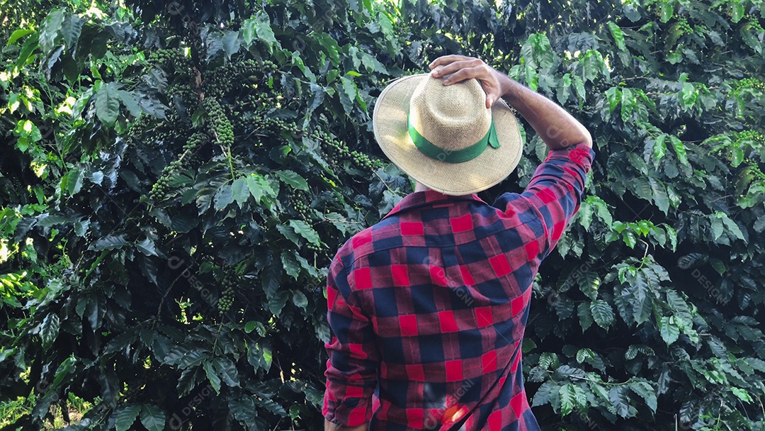 Agricultor com chapéu em paisagem de campo de plantação de café