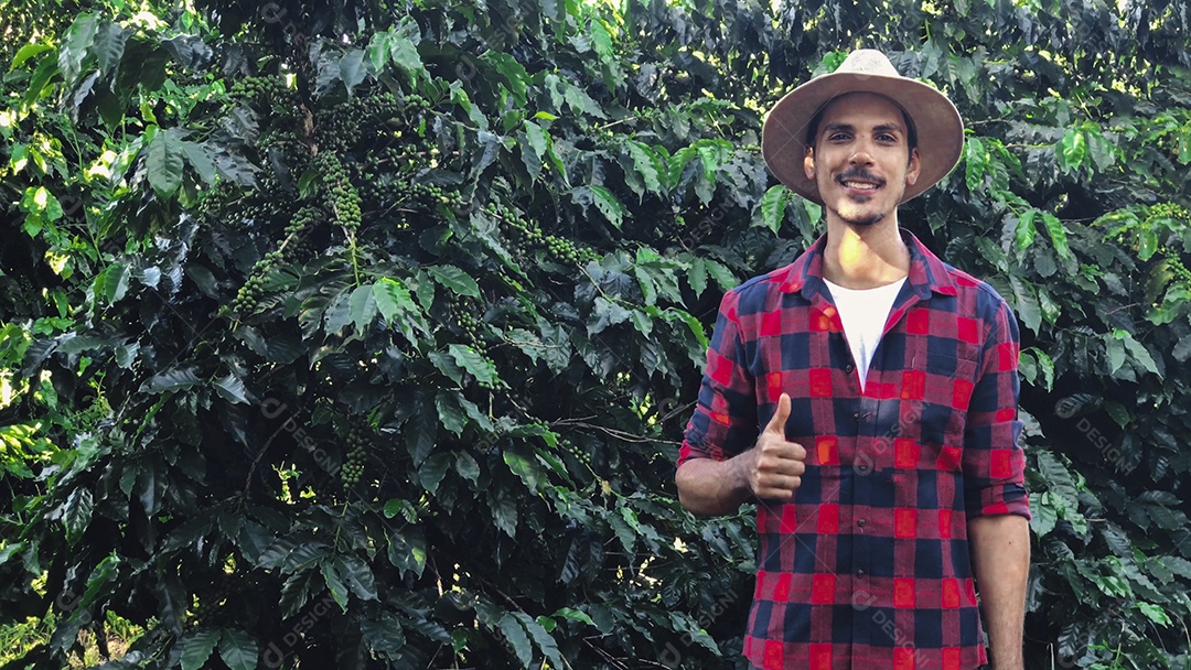 Agricultor com chapéu em plantação de café cultivada