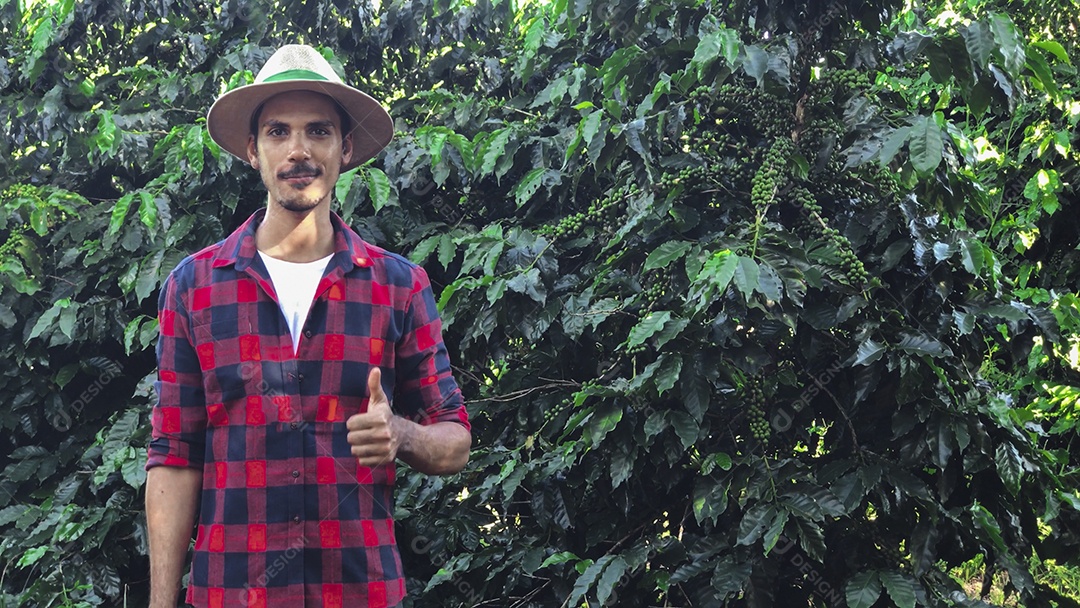 Agricultor com chapéu em plantação de café cultivada