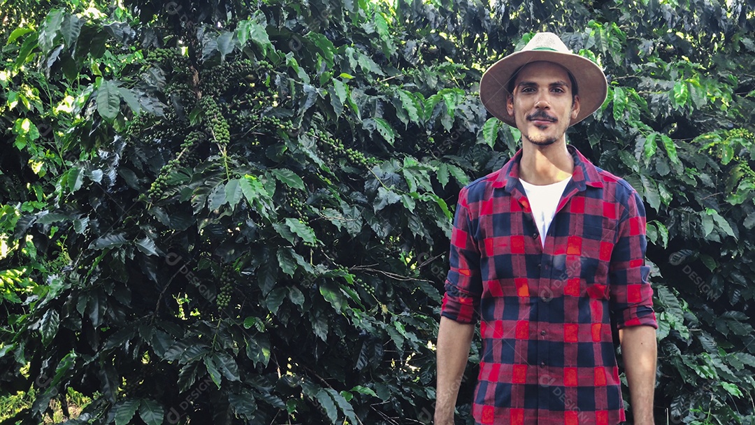 Agricultor com chapéu em plantação de café cultivada