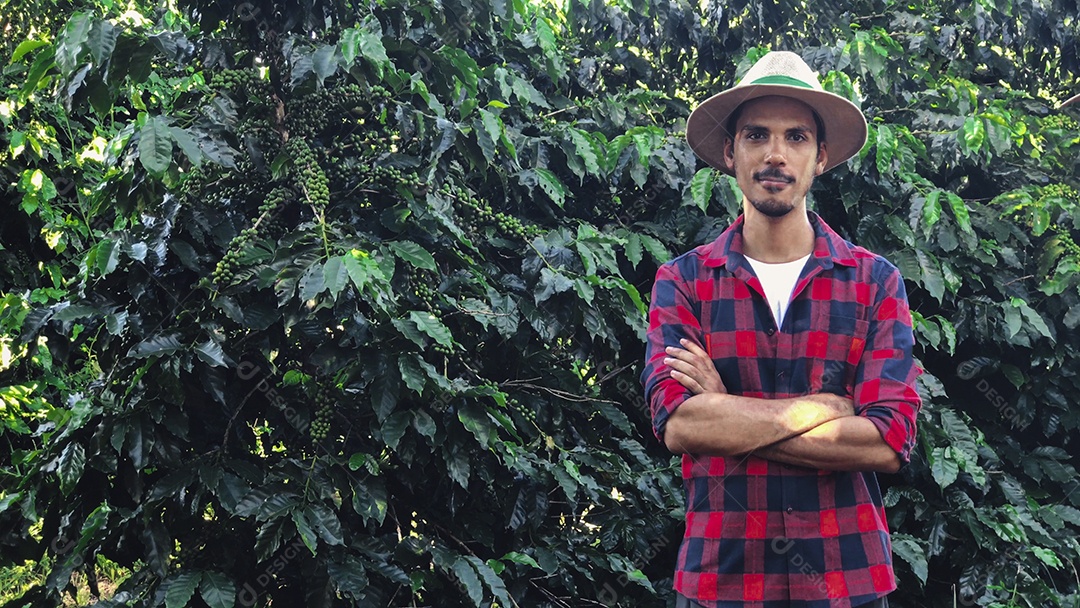 Agricultor com chapéu em paisagem de campo de plantação de café