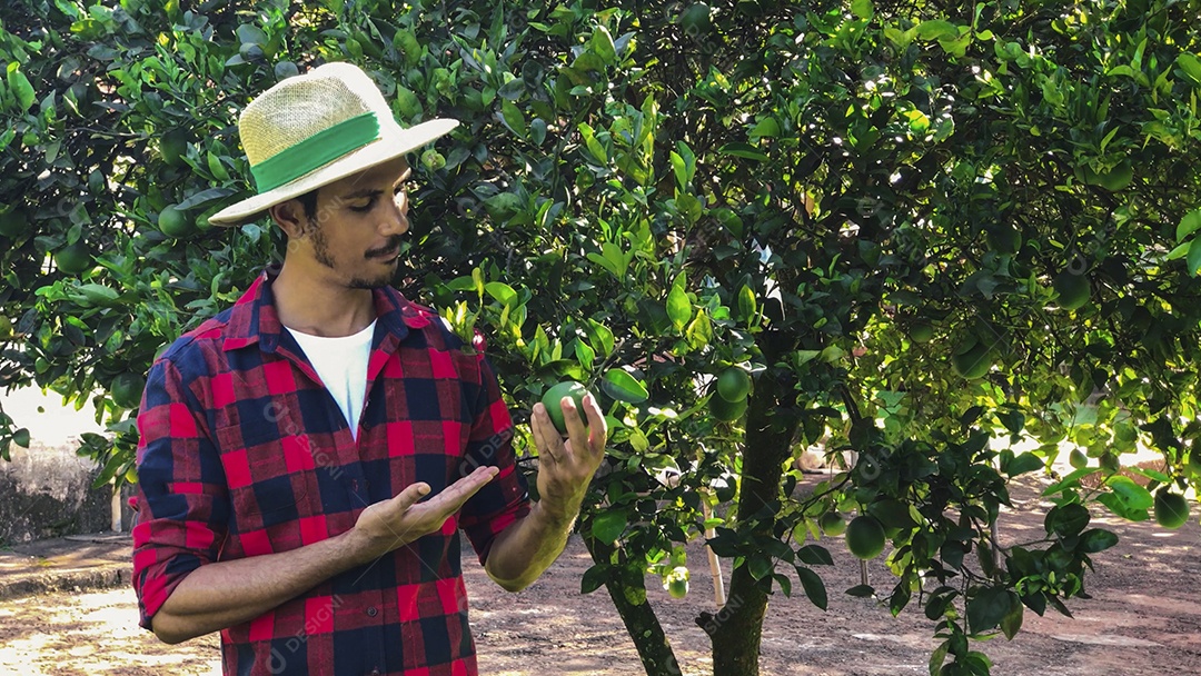 Agricultor com chapéu olhando para a câmera em frente a uma laranjeira