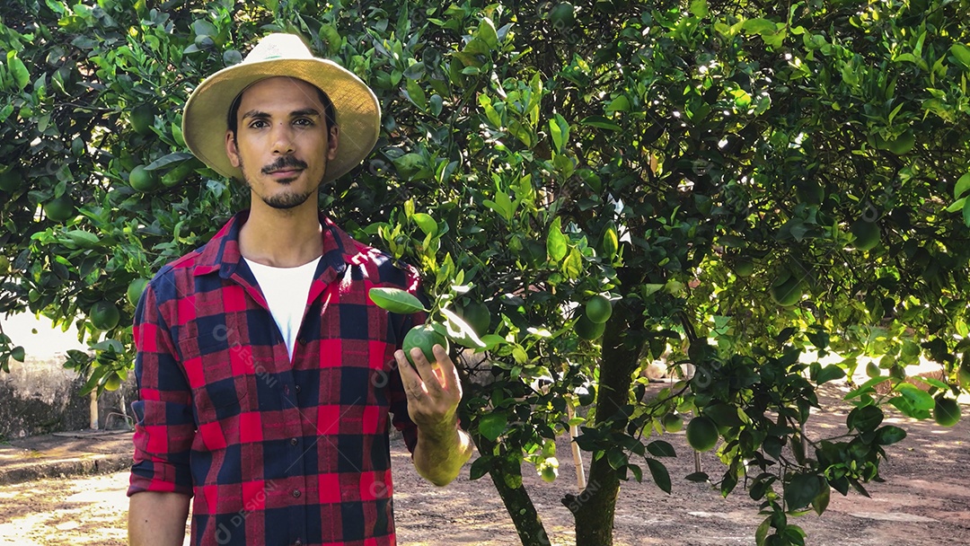 Agricultor com chapéu olhando para a câmera em frente a uma laranjeira