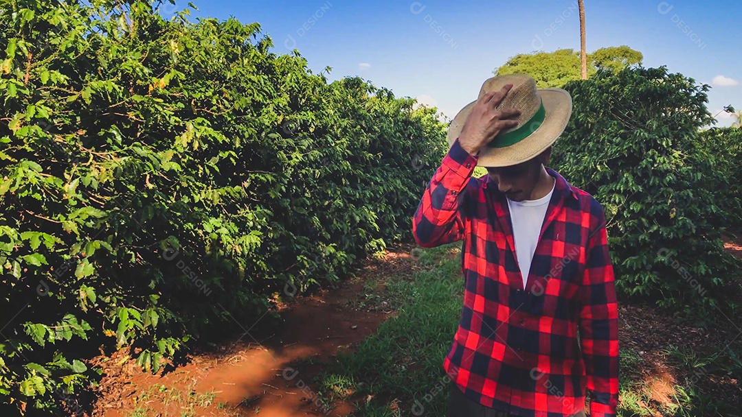 Retrato de homem trabalhando no campo
