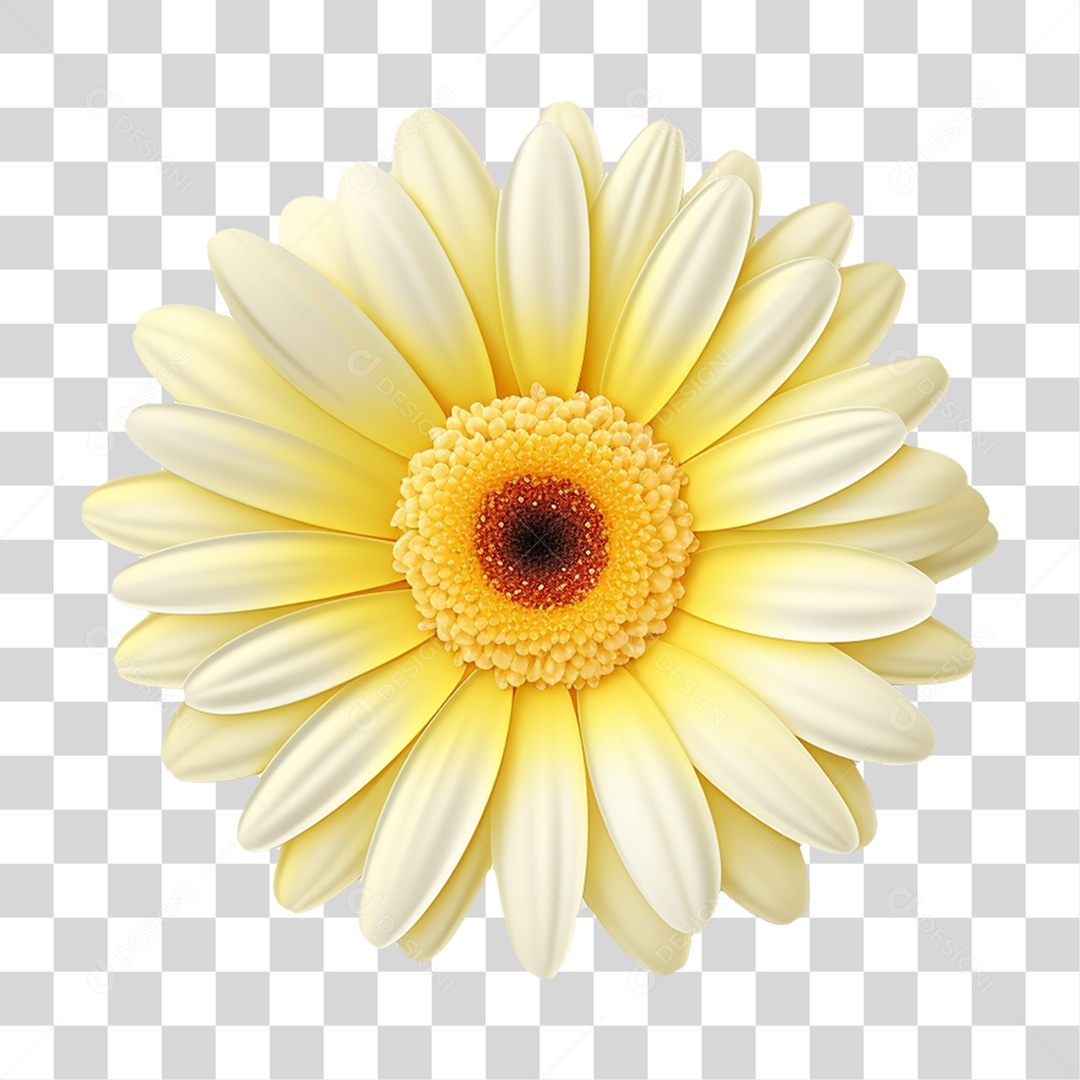 Flores Rosas Plantas PNG Transparente