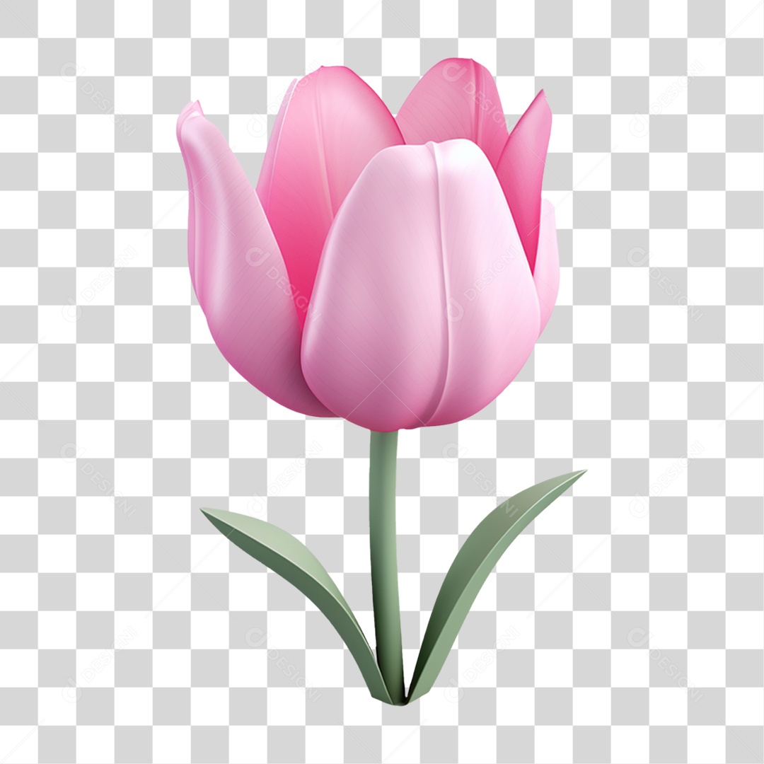 Flores Rosas Plantas PNG Transparente