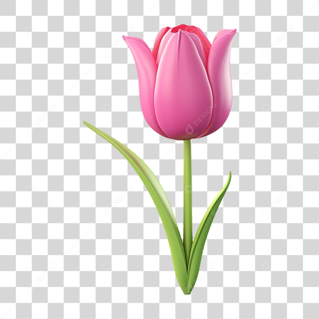 Flores Rosas Plantas PNG Transparente