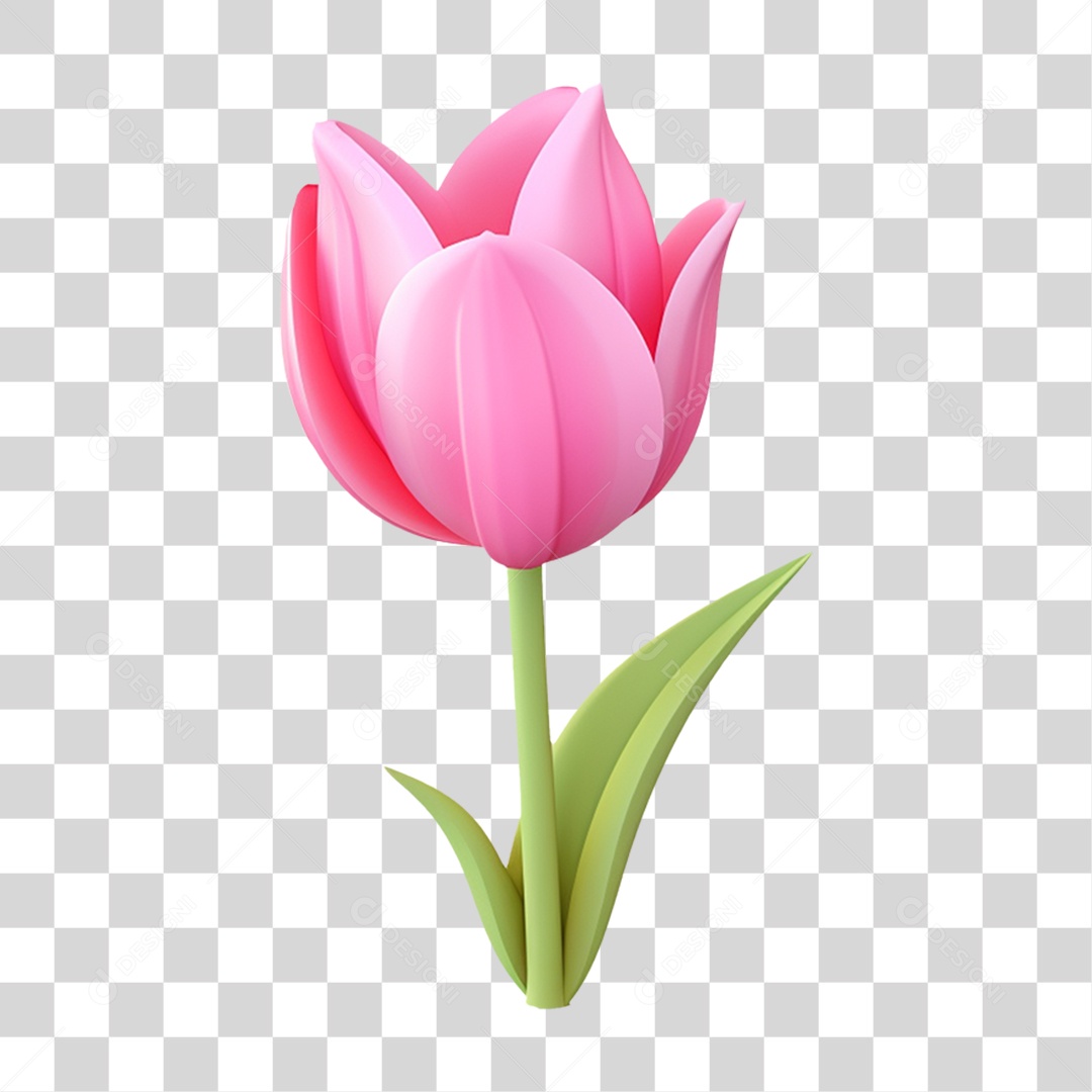 Flores Rosas Plantas PNG Transparente