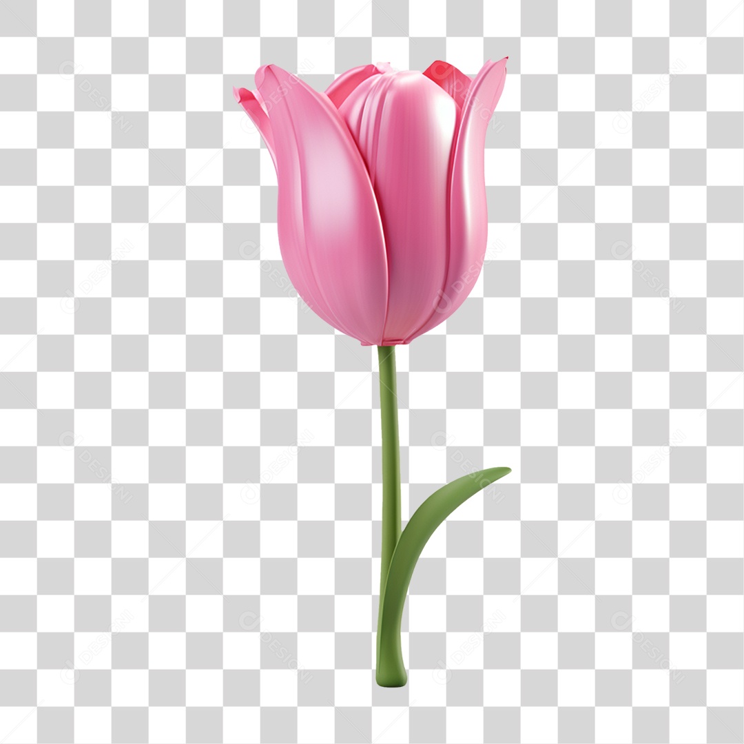 Flores Rosas Plantas PNG Transparente