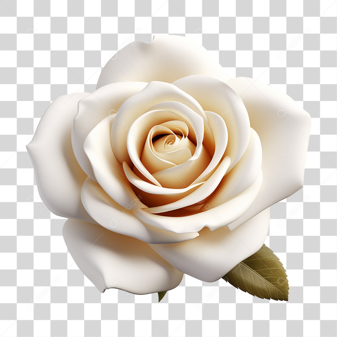 Flores Rosas Plantas PNG Transparente