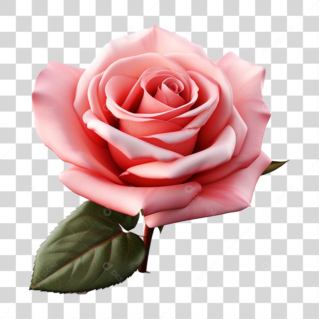 Flores Rosas Plantas PNG Transparente