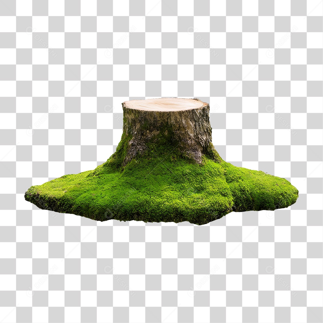 Musgo Verde em Tronco de Árvore PNG Transparente