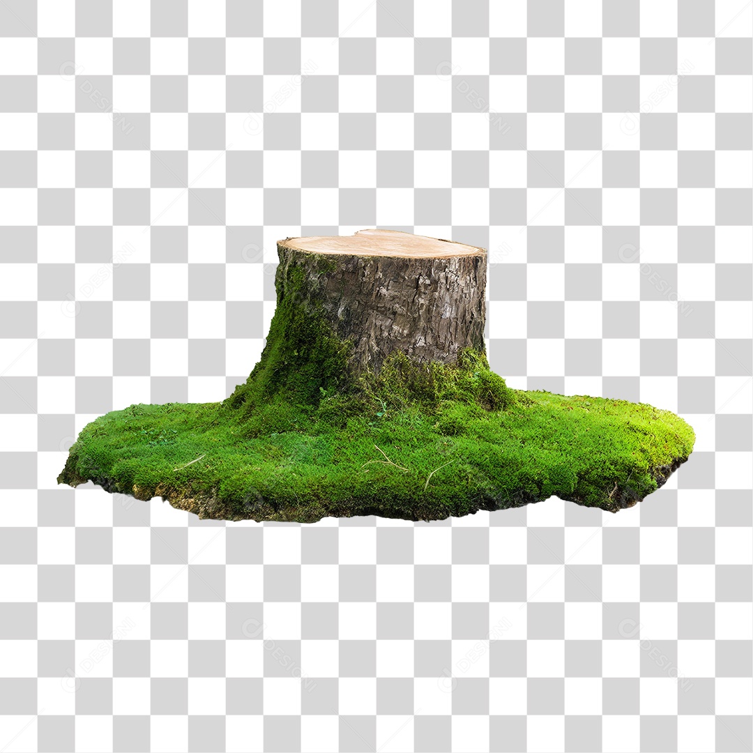 Musgo Verde em Tronco de Árvore PNG Transparente