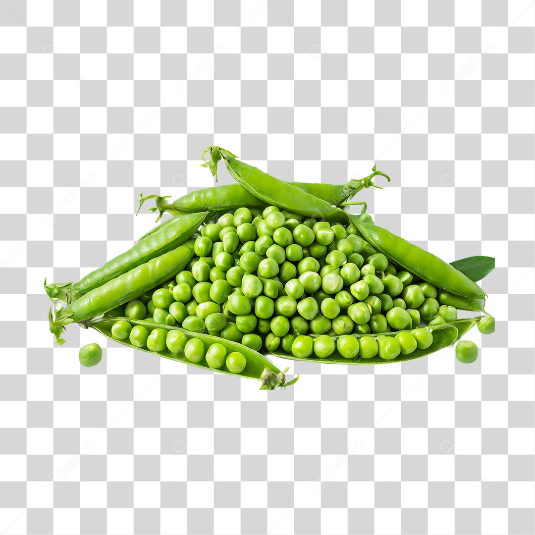 Ervilhas Plantação Colheita Grãos PNG Transparente