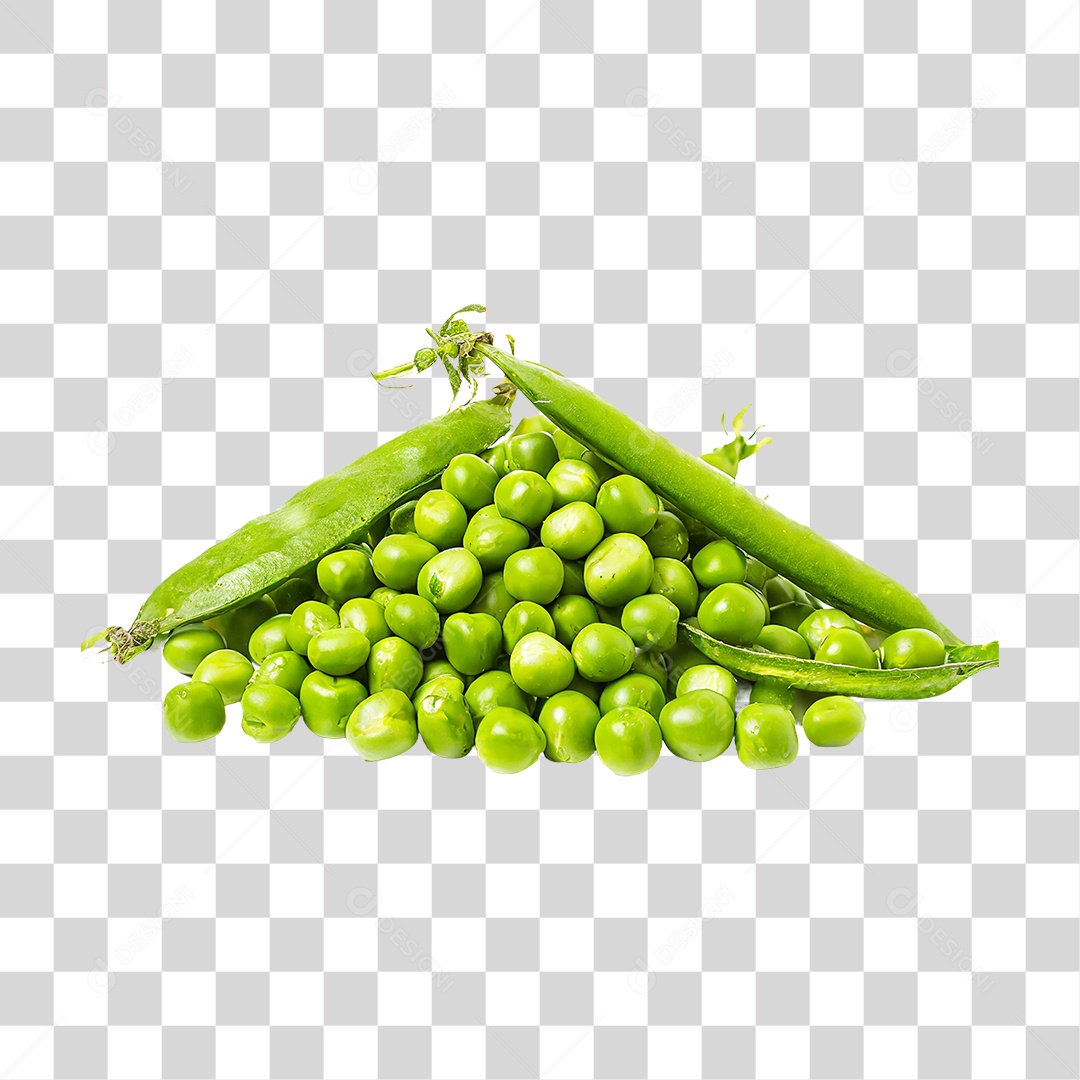 Peas Plantation Harvest Grain PNG Transparent