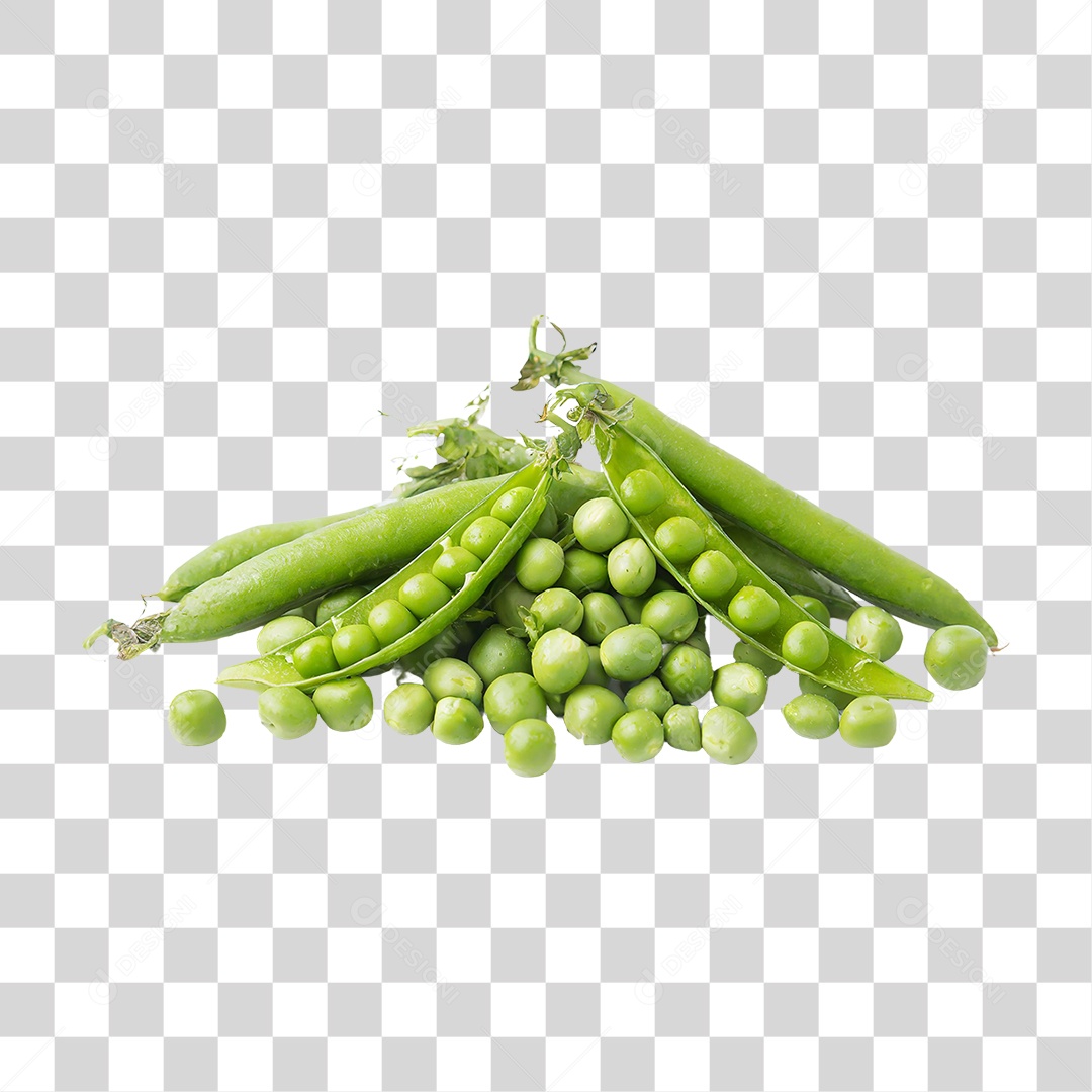 Ervilhas Plantação Colheita Grãos PNG Transparente