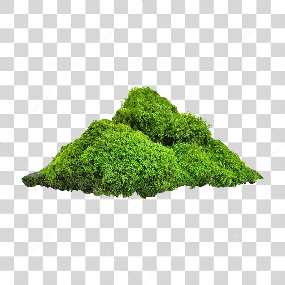 Musgo Verde PNG Transparente