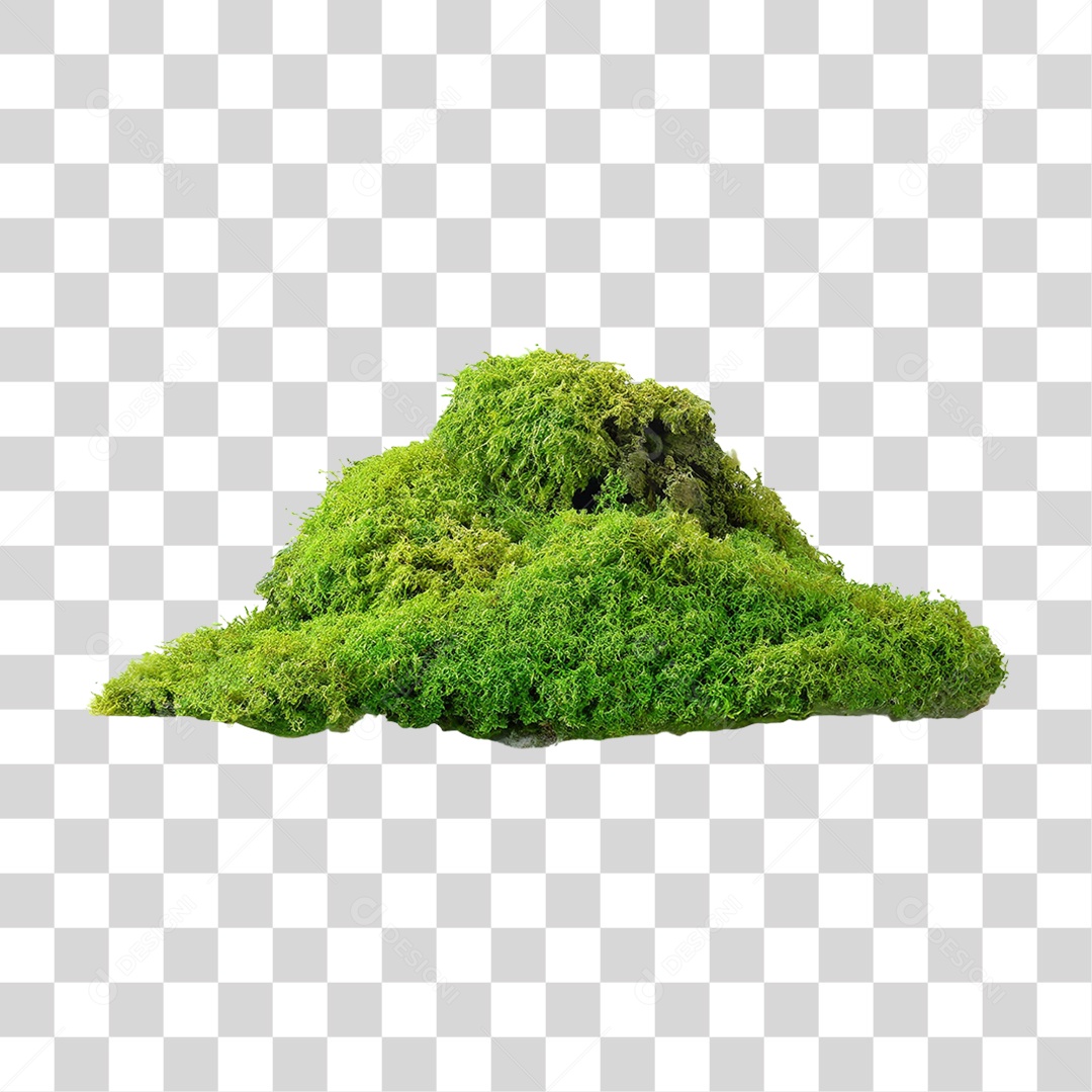 Musgo Verde PNG Transparente