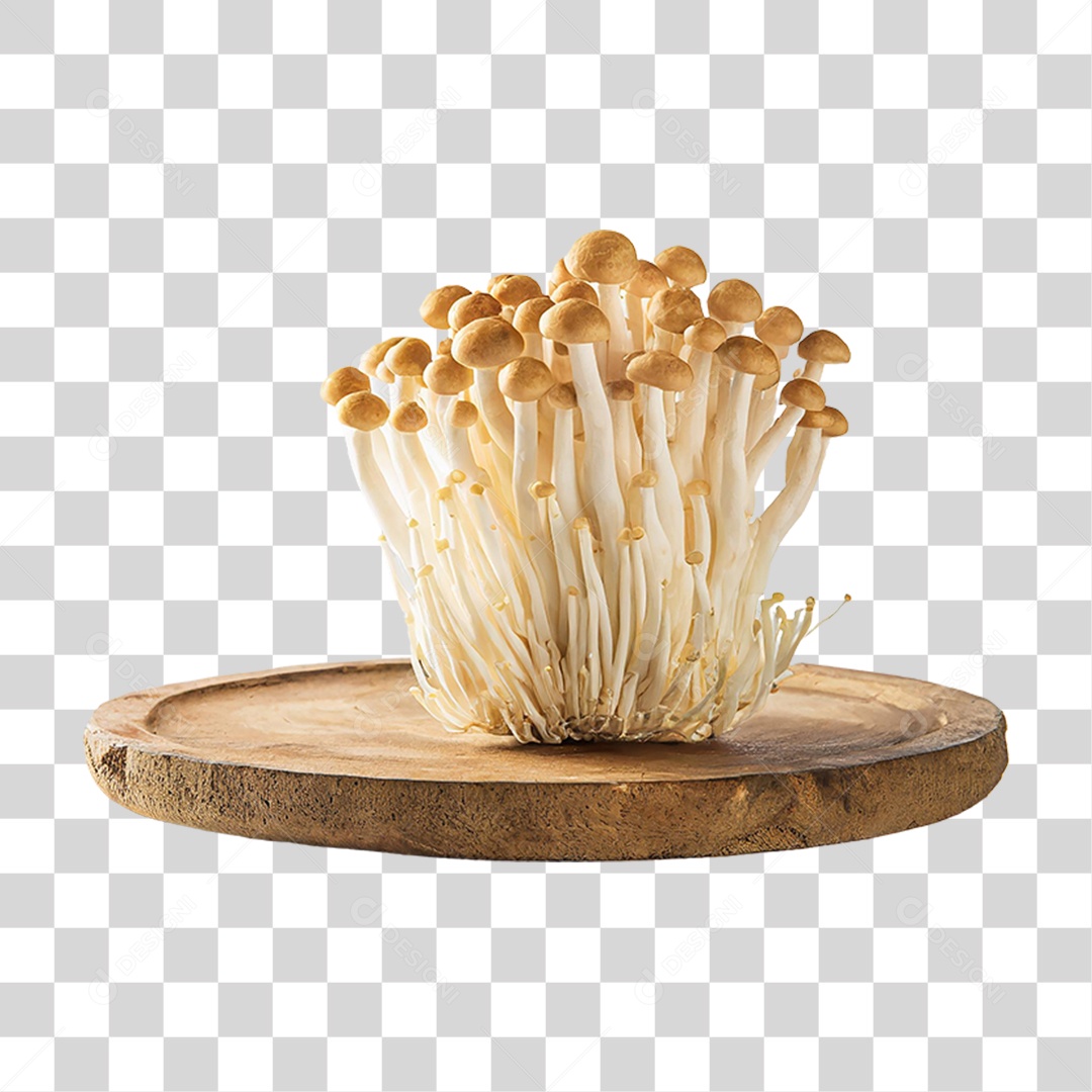 Cogumelos Fungo PNG Transparente