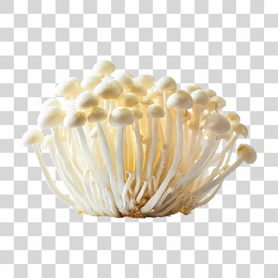 Cogumelos Fungo PNG Transparente