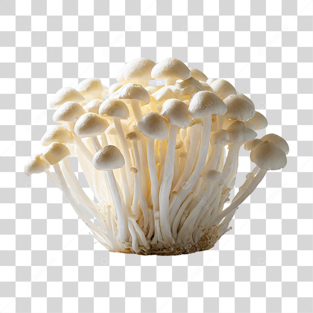 Cogumelos Fungo PNG Transparente